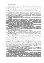 Konspekts 'Psihiskās izziņas procesi', 15.