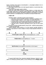 Konspekts 'Psihiskās izziņas procesi', 17.