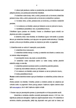 Prakses atskaite 'Prakses atskaite SIA "X"', 6.