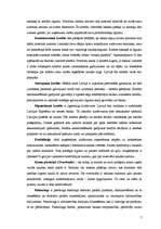 Referāts '"Nordea Bank Finland Plc" Latvijas filiāles uzņēmējdarbības analīze un attīstība', 7.