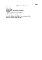 Konspekts 'Konspekts mūzikā', 1.