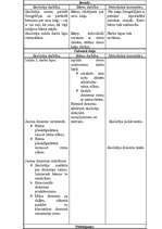 Konspekts 'Konspekts mūzikā', 2.