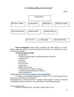 Referāts 'Sociālie pakalpojumi vecu cilvēku aprūpē / studiju darbs i', 15.