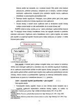 Referāts 'Finanšu pārskati un to analīze VAS "Pasažieru vilciens"', 11.