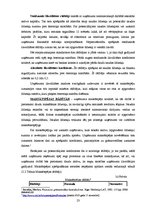 Referāts 'Finanšu pārskati un to analīze VAS "Pasažieru vilciens"', 23.