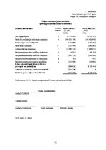 Referāts 'Finanšu pārskati un to analīze VAS "Pasažieru vilciens"', 41.