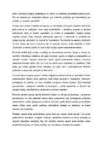 Eseja 'Sociālā darba pamatvērtības: cilvēcība, ētika un profesionālā atbildība', 2.