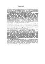 Konspekts 'Daugavpils un tās vēsture', 1.