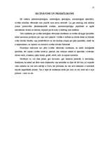 Referāts 'Cilvēka izcelšanās teorijas', 13.