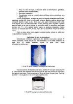 Referāts 'Ātri šķīstošā sausā piena ražošanas projekts', 31.