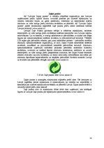 Referāts 'Ātri šķīstošā sausā piena ražošanas projekts', 36.