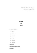 Referāts 'Bērnu infekcijas slimības', 2.