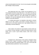 Referāts 'Bērnu infekcijas slimības', 16.