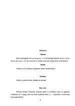 Referāts 'Bērnu infekcijas slimības', 18.