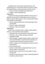 Konspekts 'Stilistikas izteiksmes lingvistiskie paņēmieni', 2.