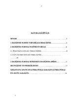 Referāts 'Darījuma formas nozīme personas civilo tiesību aizsardzībā', 2.