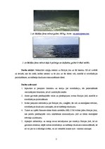 Referāts 'Zilaļģes Baltijas jūrā', 3.