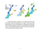 Referāts 'Zilaļģes Baltijas jūrā', 9.