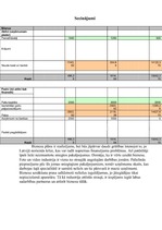 Biznesa plāns 'Video un foto montāžas pakalpojumi', 11.