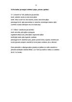 Referāts 'Karjera', 23.