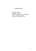 Referāts 'Autortiesību un blakustiesību pārkāpšana', 13.