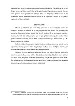 Referāts 'Rēzeknes pilsdrupas un to vēsture', 9.