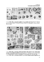 Referāts 'Rēzeknes pilsdrupas un to vēsture', 12.