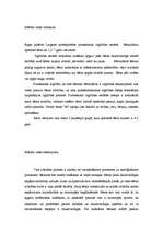 Referāts 'Pirmsskolas darba vides raksturojums', 1.