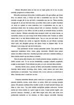 Referāts 'Pirmsskolas darba vides raksturojums', 3.