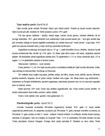 Referāts 'Tūrisma iespējas Pāvilostā', 11.