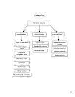 Referāts 'Tūrisma iespējas Pāvilostā', 20.
