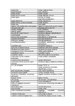 Konspekts 'Muitas terminoloģija', 8.