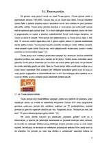 Referāts 'Sabiedrisko attiecību loma politikā ', 6.