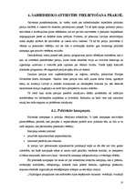 Referāts 'Sabiedrisko attiecību loma politikā ', 10.