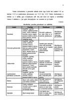 Referāts 'Biznesa plāns plānošanā', 5.