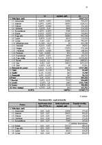 Referāts 'Biznesa plāns plānošanā', 9.