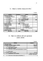 Referāts 'Biznesa plāns plānošanā', 15.