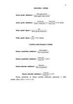 Referāts 'Biznesa plāns plānošanā', 23.