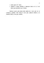 Referāts 'Biznesa plāns plānošanā', 25.