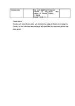 Konspekts 'Integretā prakse pirmsskolā (2-3 gadus veci bērni)', 19.