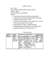 Konspekts 'Integretā prakse pirmsskolā (2-3 gadus veci bērni)', 27.