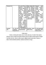 Konspekts 'Integretā prakse pirmsskolā (2-3 gadus veci bērni)', 29.