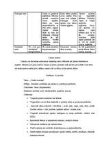 Konspekts 'Integretā prakse pirmsskolā (2-3 gadus veci bērni)', 32.
