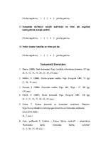 Konspekts 'Komandas attīstības stadijas diagnosticēšana', 5.