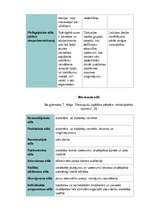 Referāts 'Mācīšanās stila izvēle', 4.