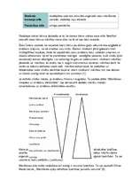 Referāts 'Mācīšanās stila izvēle', 5.