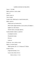 Konspekts 'Latviešu valodas stundas plāns', 1.