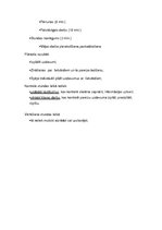 Konspekts 'Latviešu valodas stundas plāns', 2.