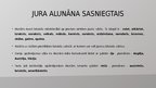 Prezentācija 'Juris Alunāns', 7.