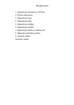 Referāts 'SIA „K.A.T.” menedžmenta funkcijas', 2.